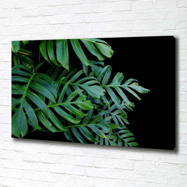 Sansibar Home Monstera Kunstdrucke Auf Leinwand Wrapped Canvas